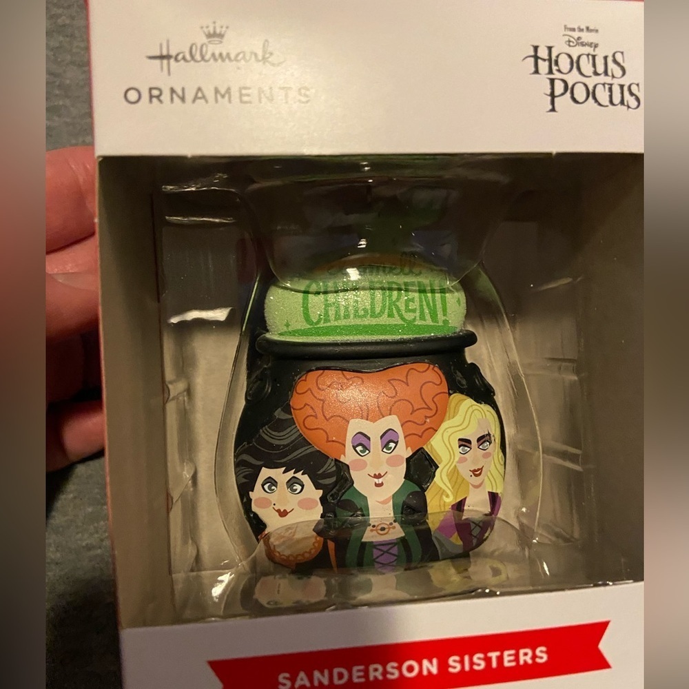 HALLMARK HOCUS POCUS Sanderson Sisters Cauldron Xmas Holiday Ornament